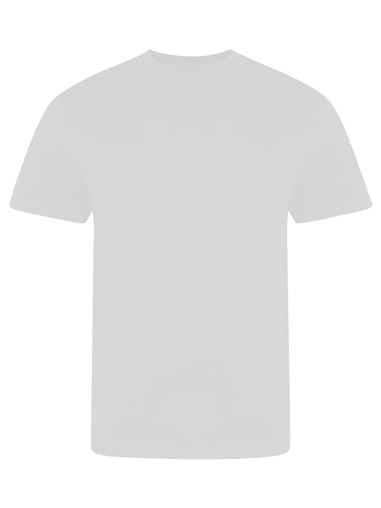 AWDIS JUST TS - The 100 T (JT100)