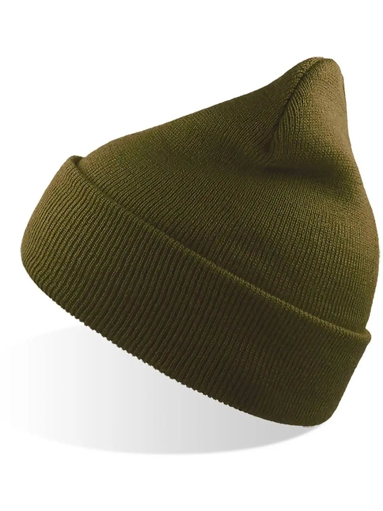 ATLANTIS - Wind (ATWIND)