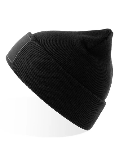 ATLANTIS - Wind-s with patch (ATWIPA)