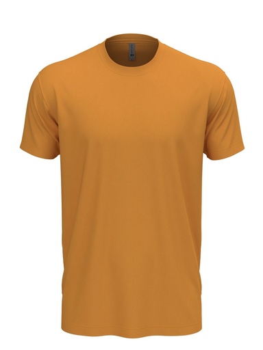 NEXT LEVEL APPAREL - Unisex Cotton T-shirt (N3600)